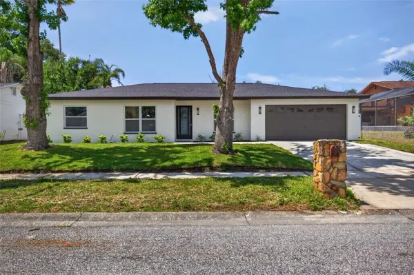 4430 Ranchwood Lane, Tampa, FL, 33624