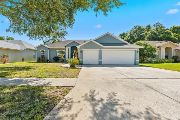 1115 Lumsden Trace Circle, Valrico, FL, 33594