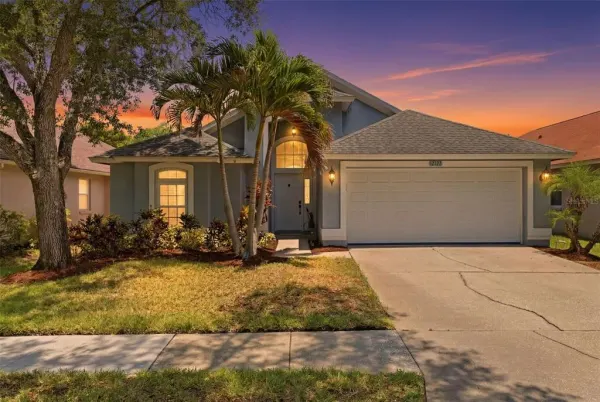 12327 Glenfield Avenue, Tampa, FL, 33626
