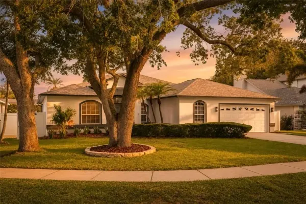 9238 Sea Oaks Court, Seminole, FL, 33776