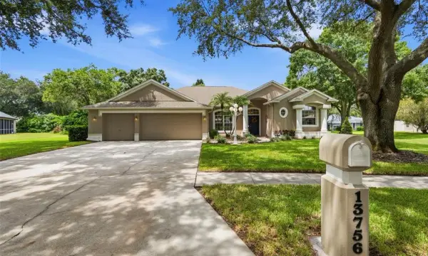 13756 Dowling Lane, Odessa, FL, 33556